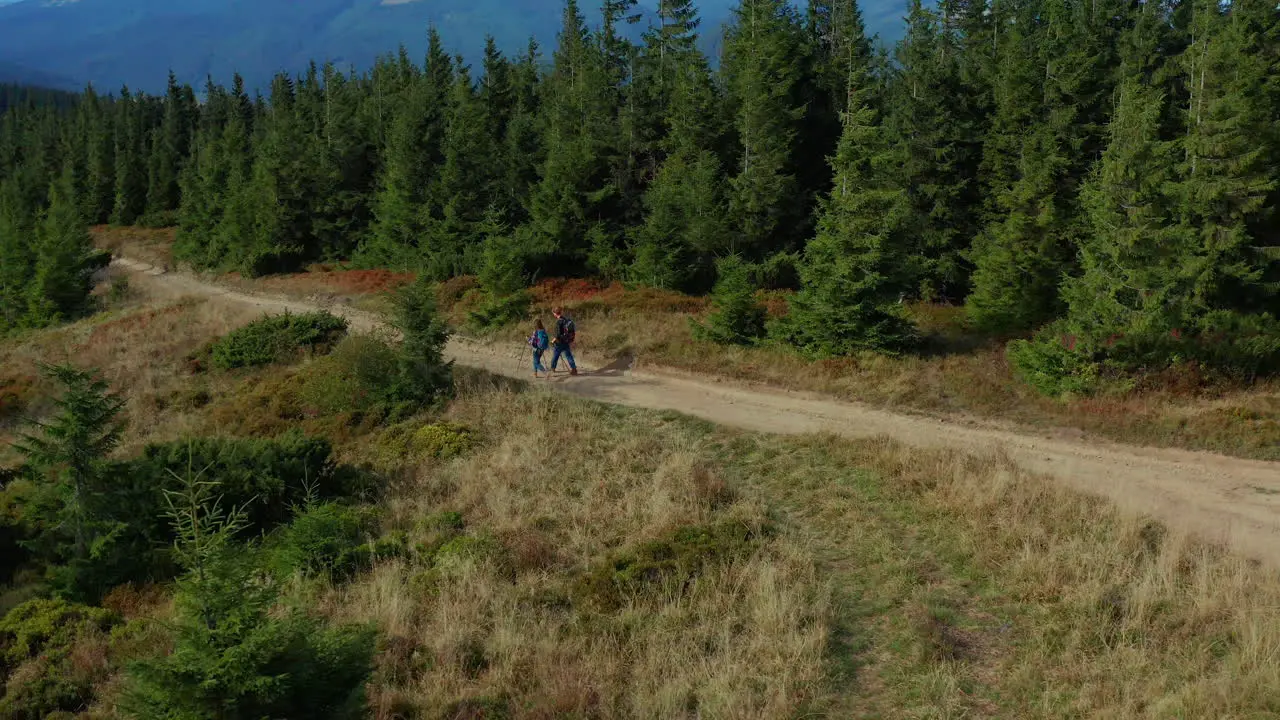 Luftpaar Beim Wandern Auf Der Waldstraße Mit Blick Auf Grüne Fichten Am Frühlingstag