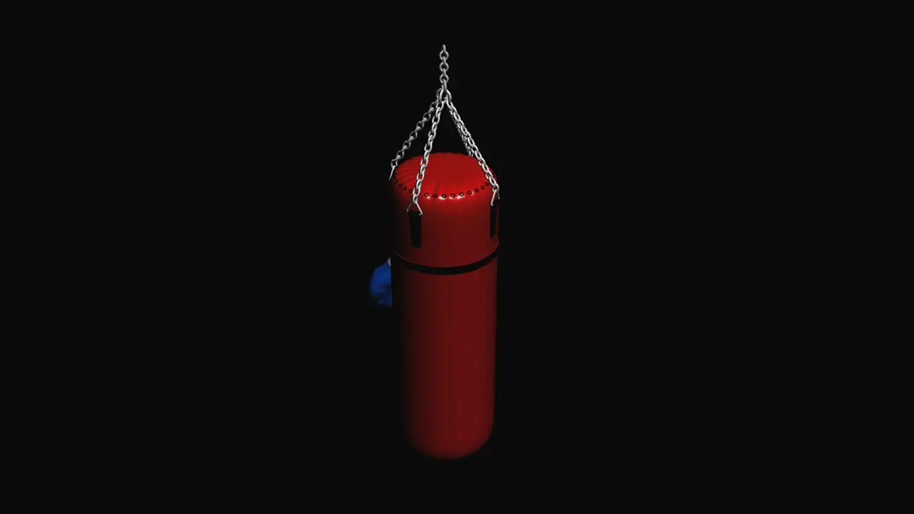 Punching Bag With Boxing Gloves