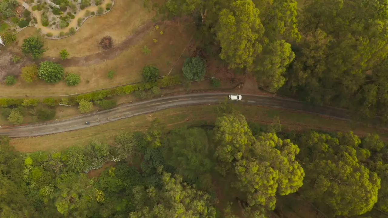 High altitude aerial perspective tracking white vehicle driving along dirt road below tree canopy