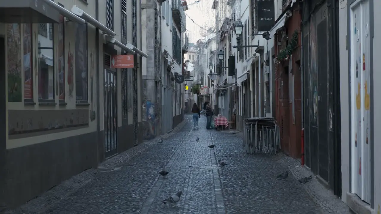 Typical Portuguese street Funchal tourist walk and pigeons searching for food