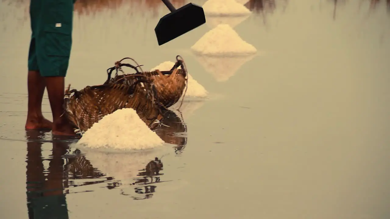 Low section view of a salt field worker harvesting salt in the famous salt farms of Kampot Cambodia