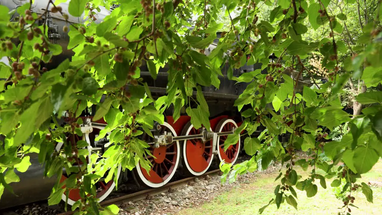 Close up on vintage steam train with black metal body and red and white wheels standing on track surrounded by trees in Italy