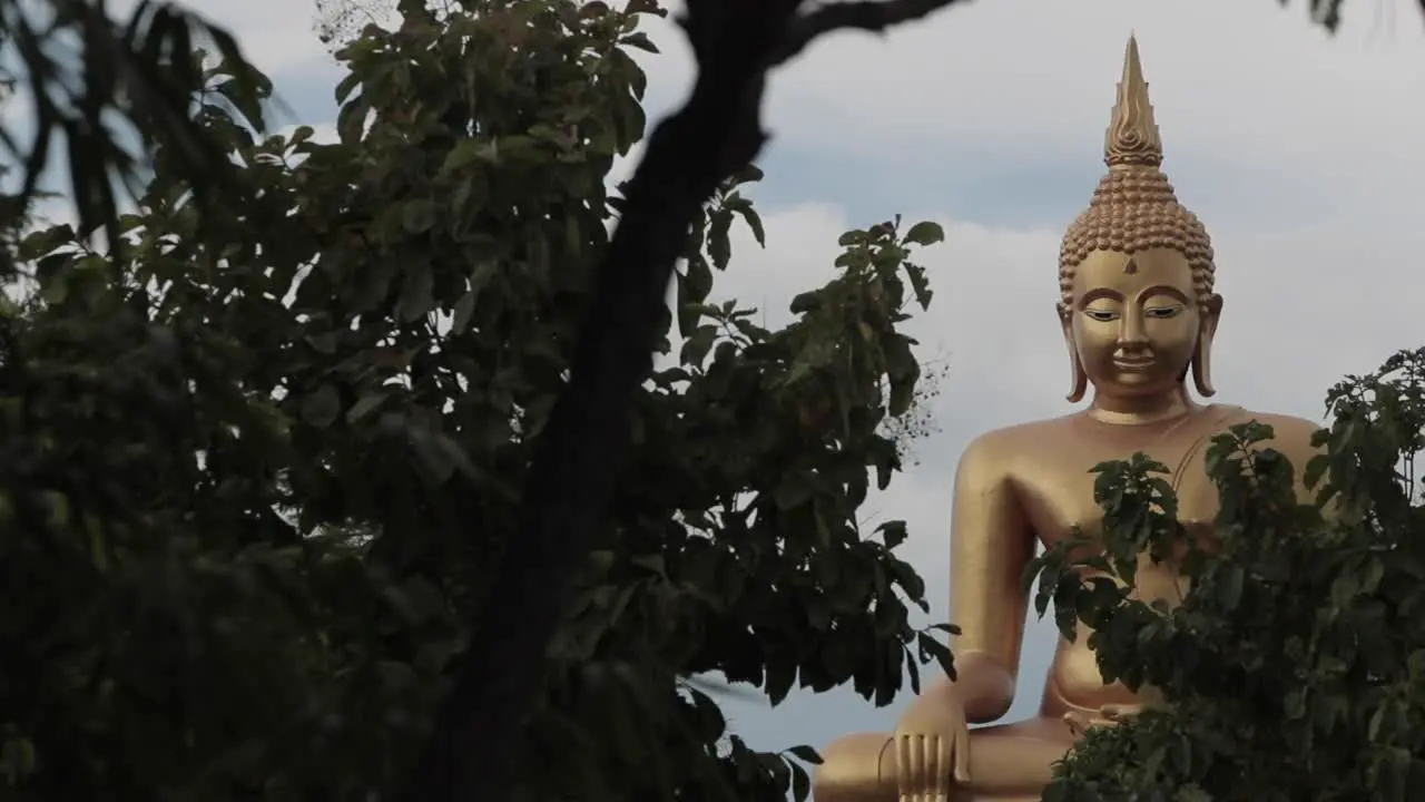 Golden Buddha Statue through forest close up