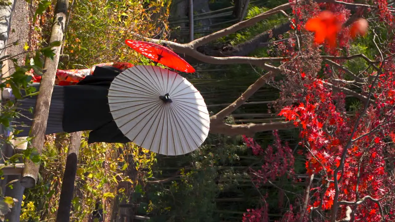 Back view of couple dressed in Japanese Kimono with umbrella Vertical