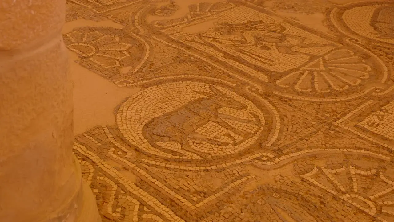 Close up of elaborate donkey mule animal mosaic on old church floor in city of Petra Jordan Middle East