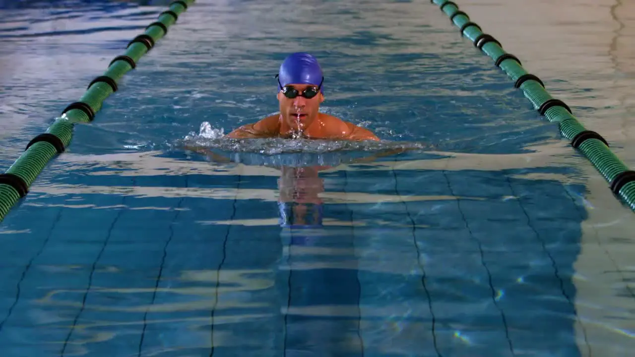 Fit swimmer doing the breast stroke in swimming pool