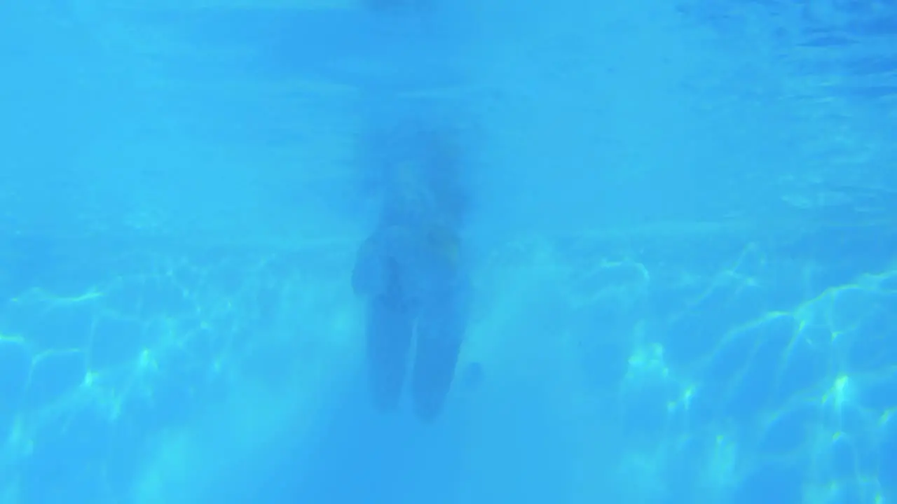 Low angle view of fit swimmer in pool