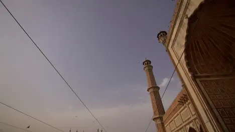 Birds Flying Over a Mosque in India