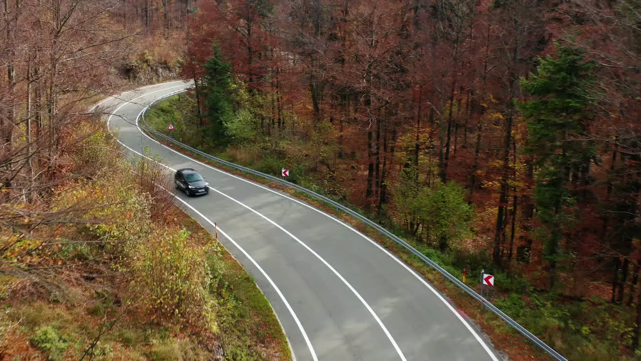 Aerial birds-eye footage of a car driving through a forest road