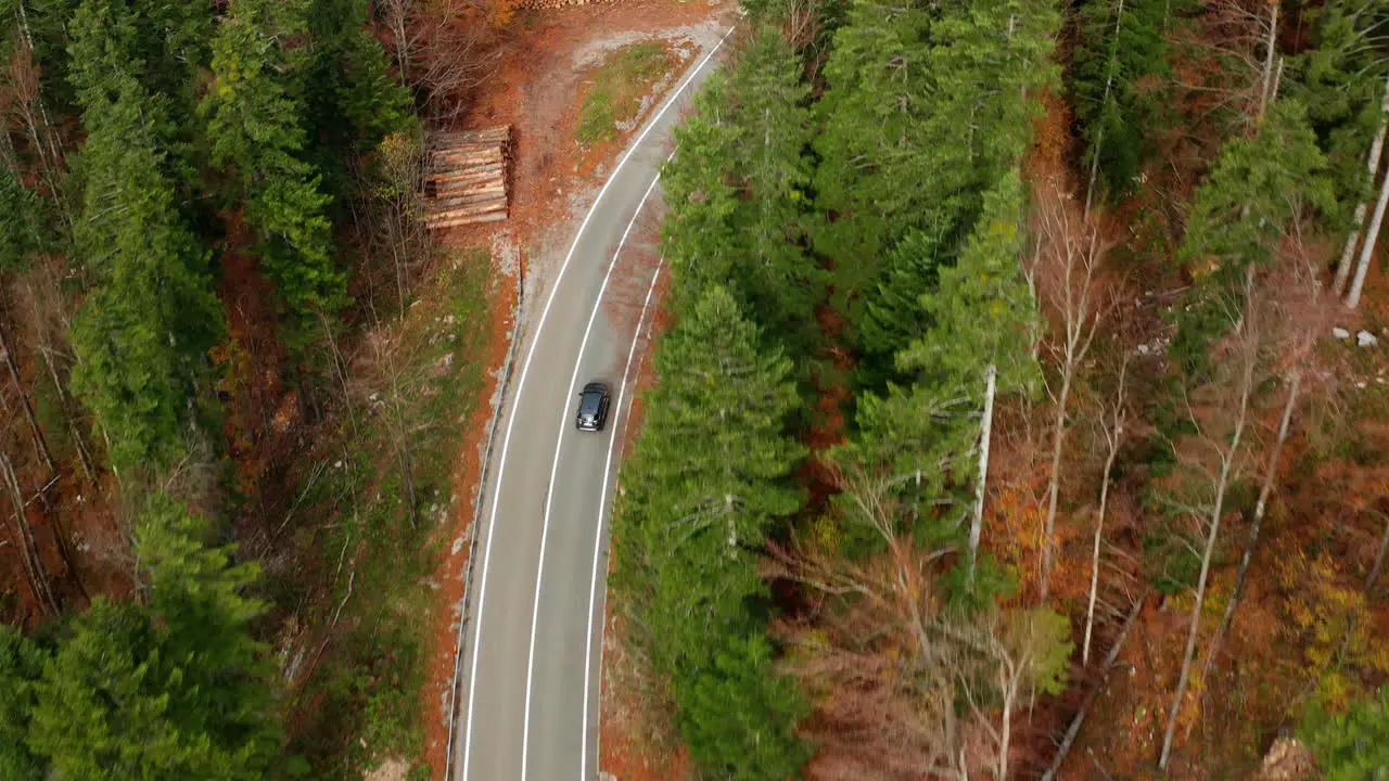 Overhead view of car driving through a fall colors woodland scene