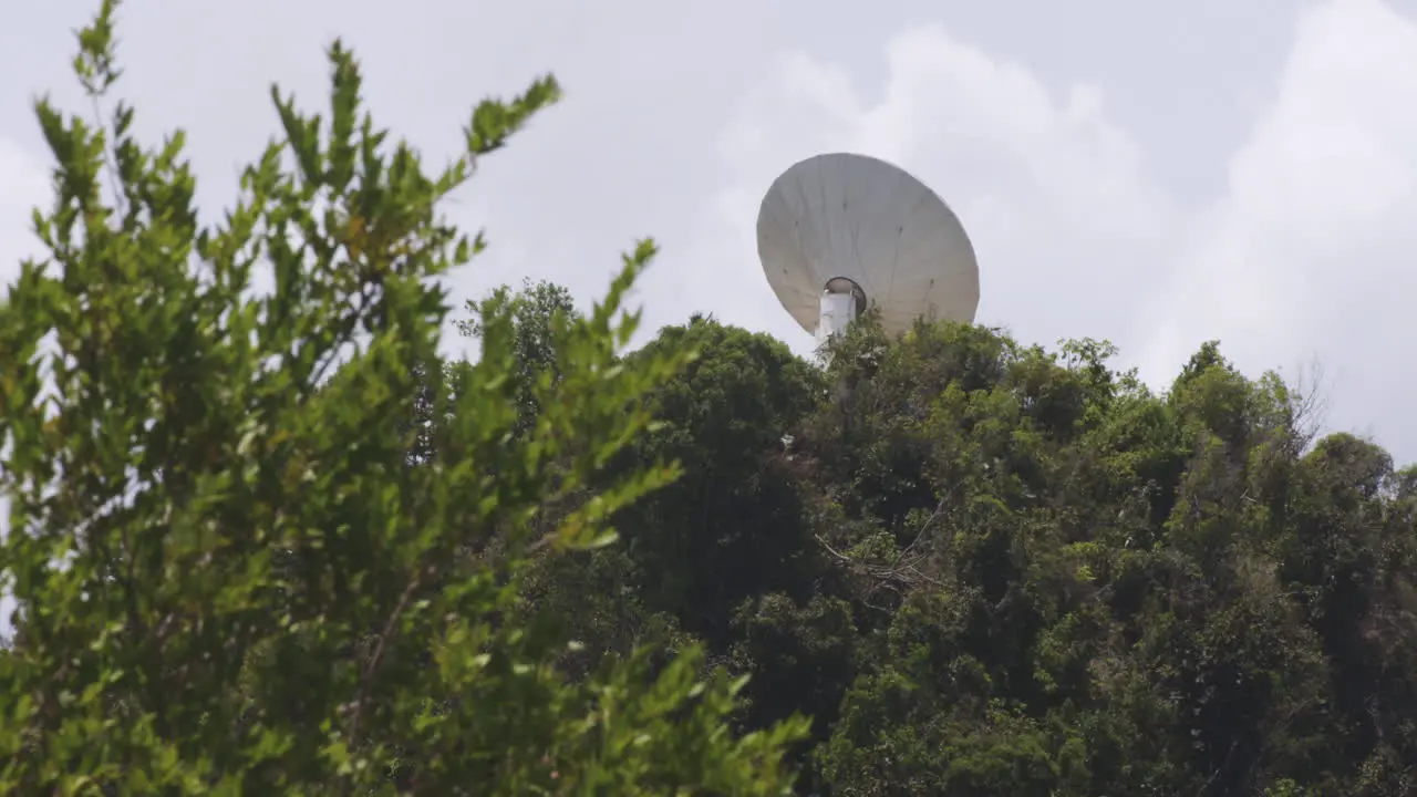 Satellite Dish In The Midst Of Green Trees At Arecibo Observatory In Puerto Rico