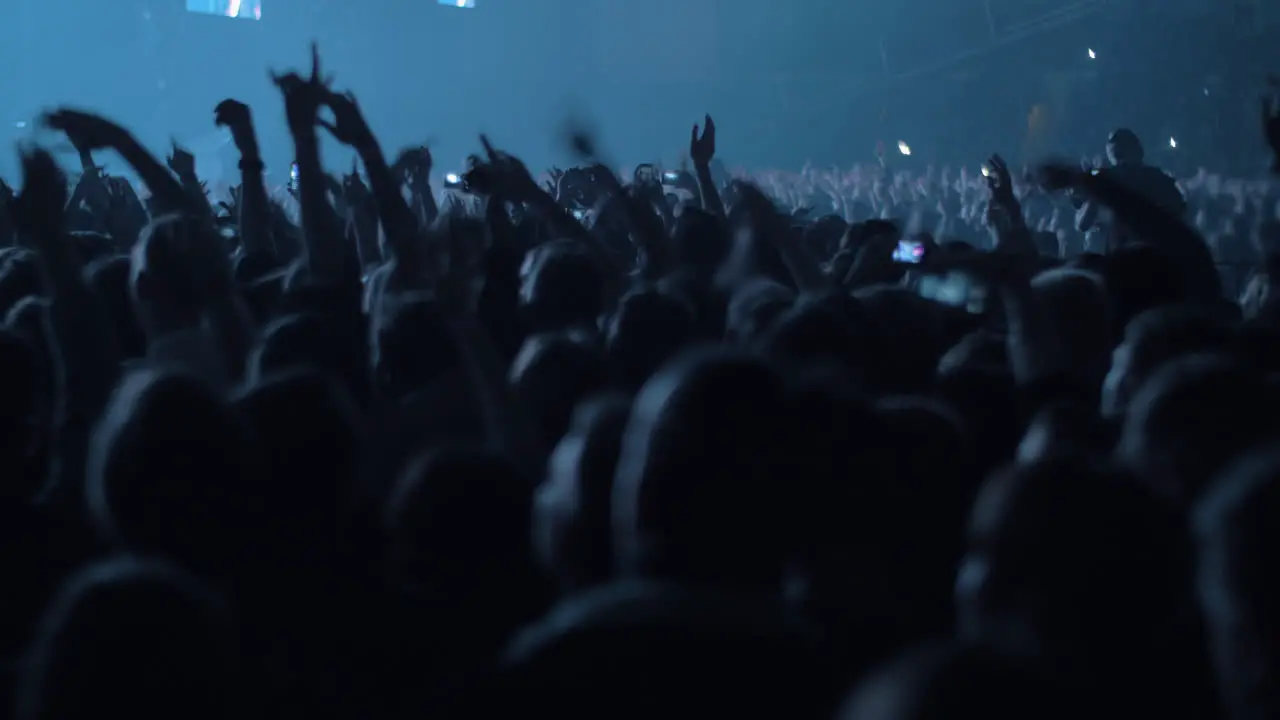 Excited young people dancing at the concert