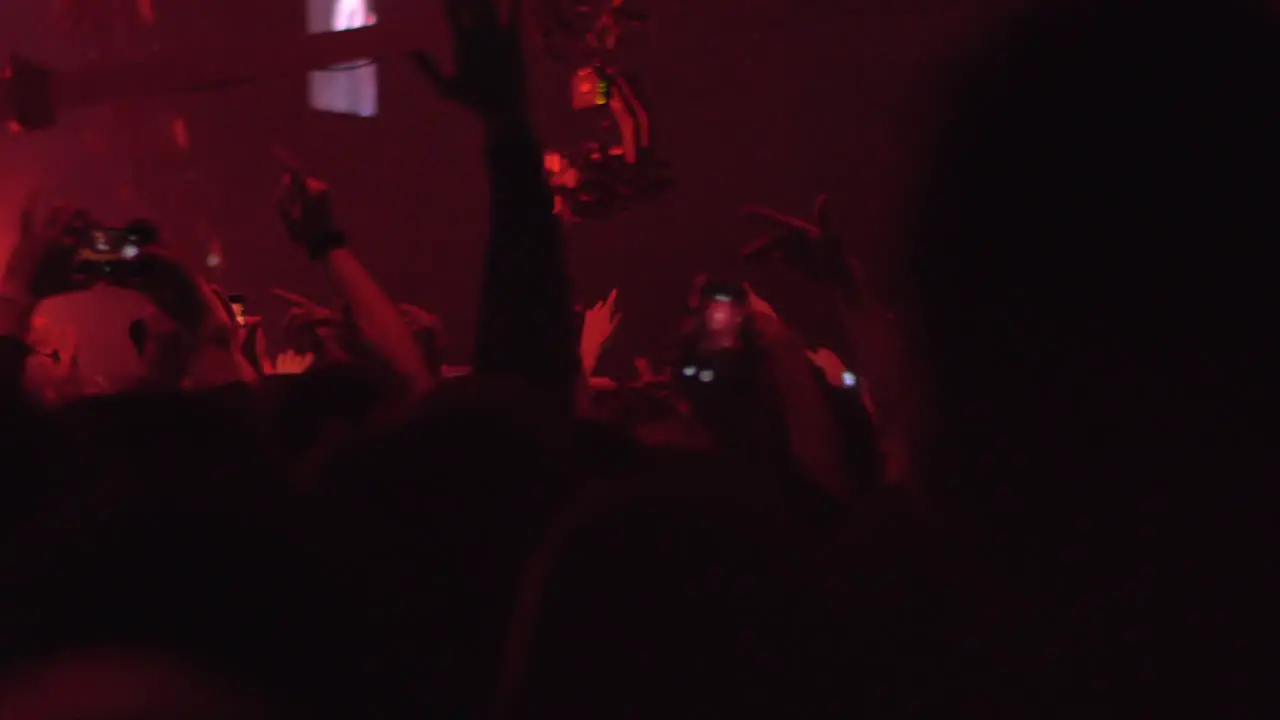 Crowd of excited dancing fans at the concert