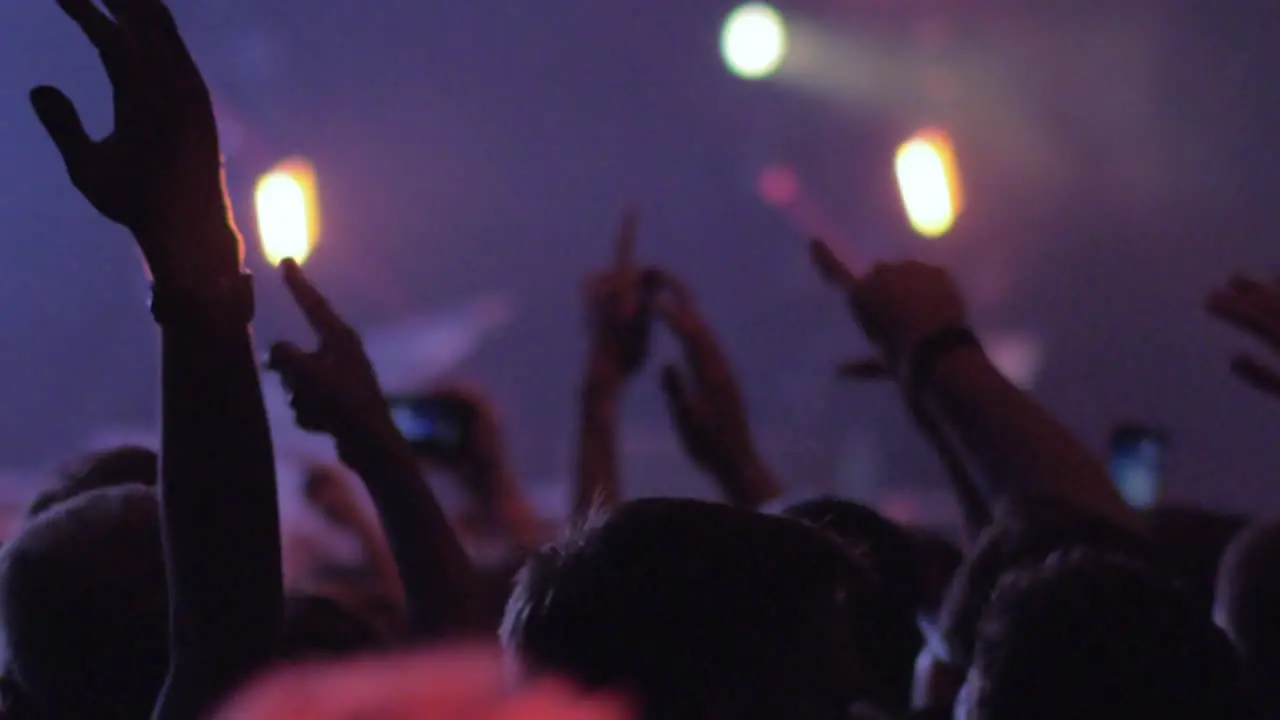 Crowd of fans at the concert of favourite band