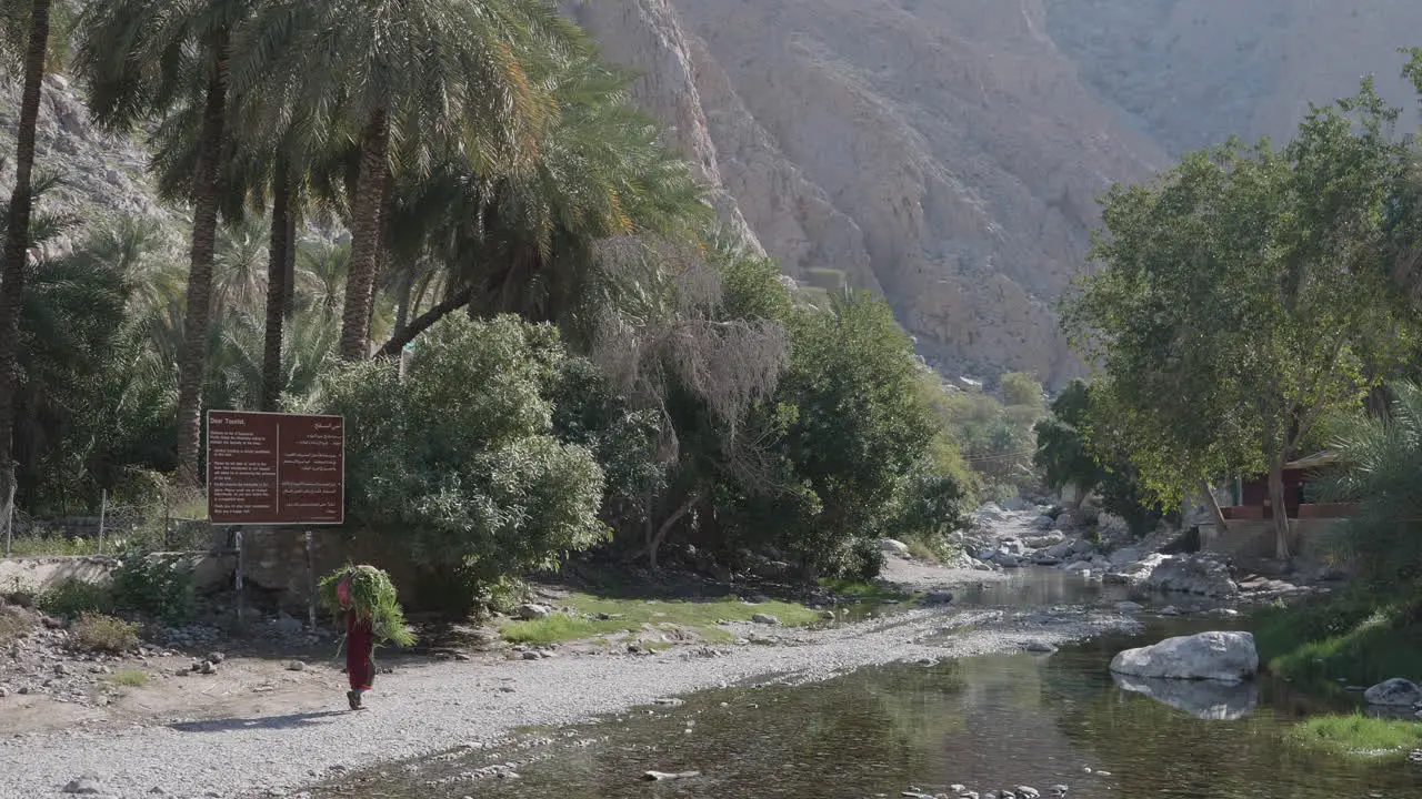 Woman farmer transporting leaves Oman