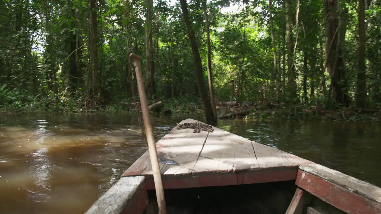 A wooden boat winds down a narrow stretch of the Amazon river surrounded by jungle on a sunny day