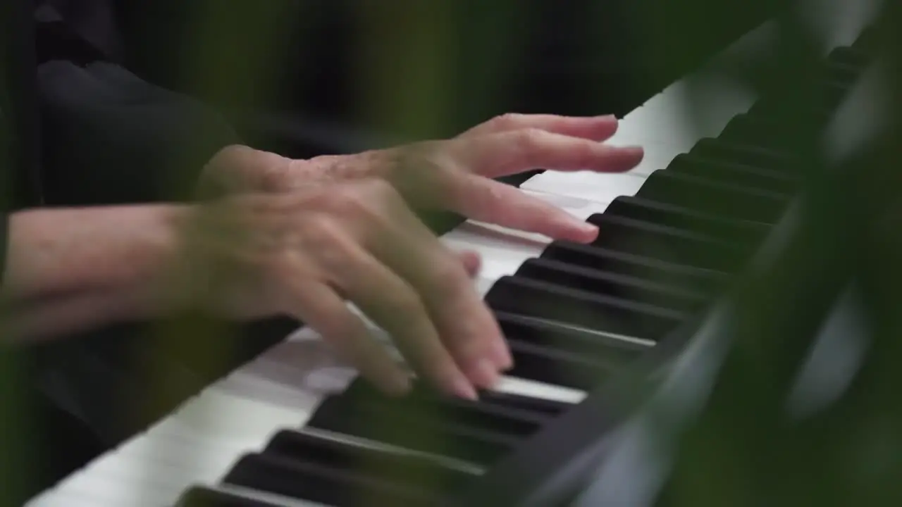 Close up of Middle Aged hands playing piano in slow motion