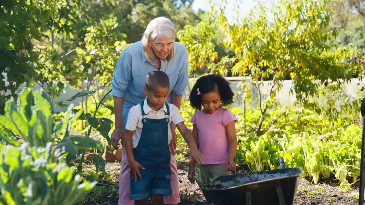 Grandchildren Helping Grandmother Working In Vegetable Garden Or Allotment With Barrow At Home