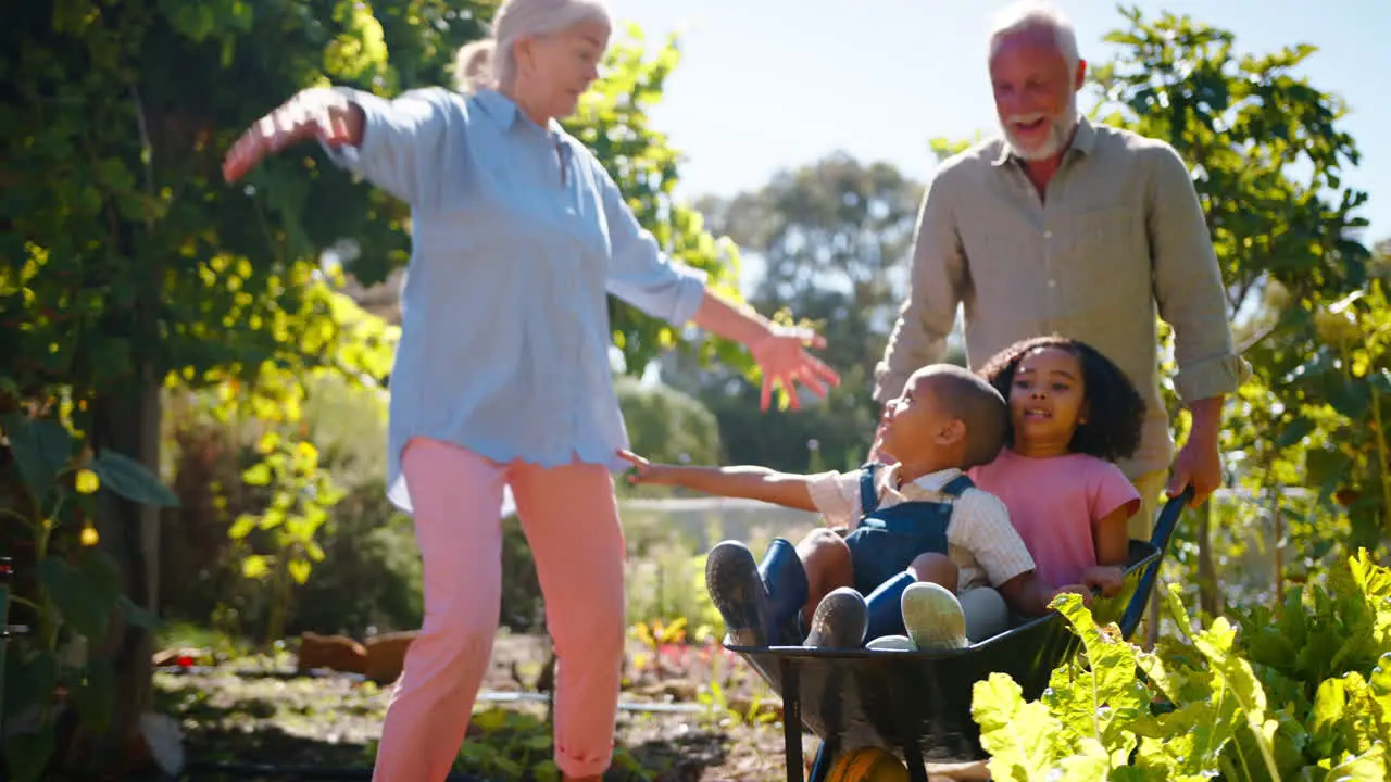 Grandchildren Pushed In Barrow By Grandparents Working In Vegetable Garden Or Allotment