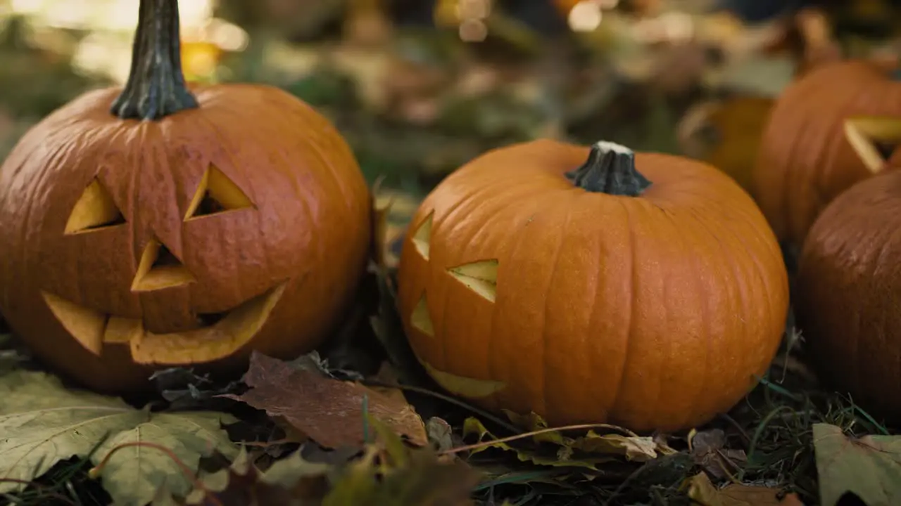 Close up of spooky pumpkins for Halloween