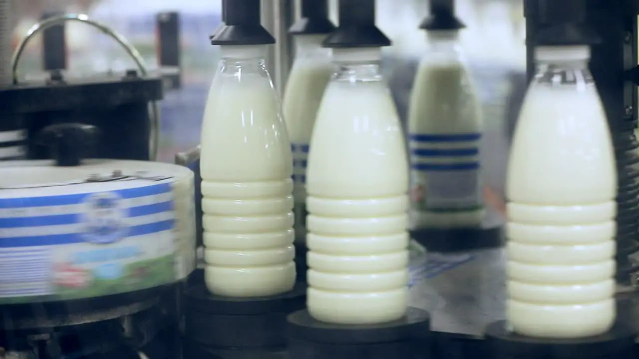 Marking milk bottles at food factory Dairy industry Food plant Milk factory