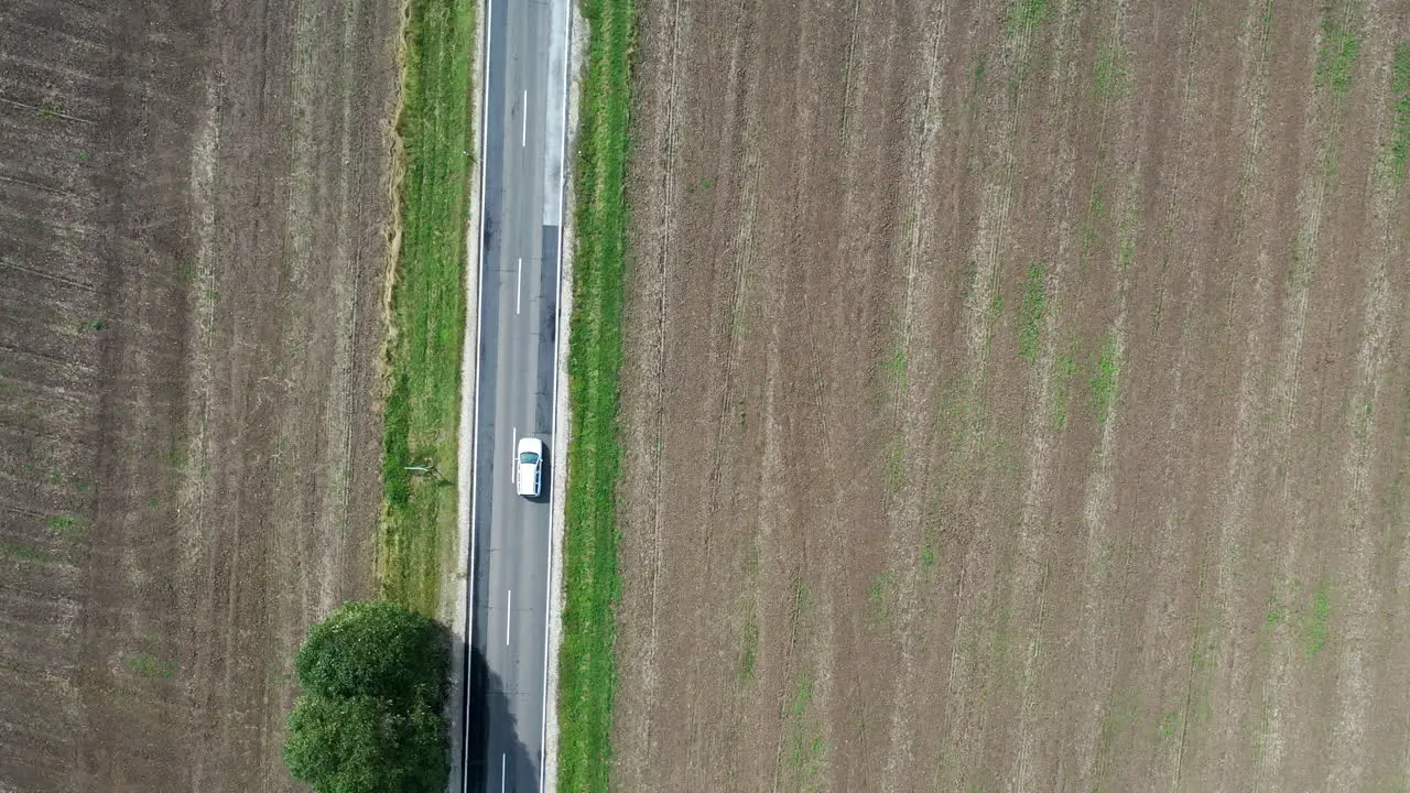 Aerial shot following a white car driving on a 2 lane road