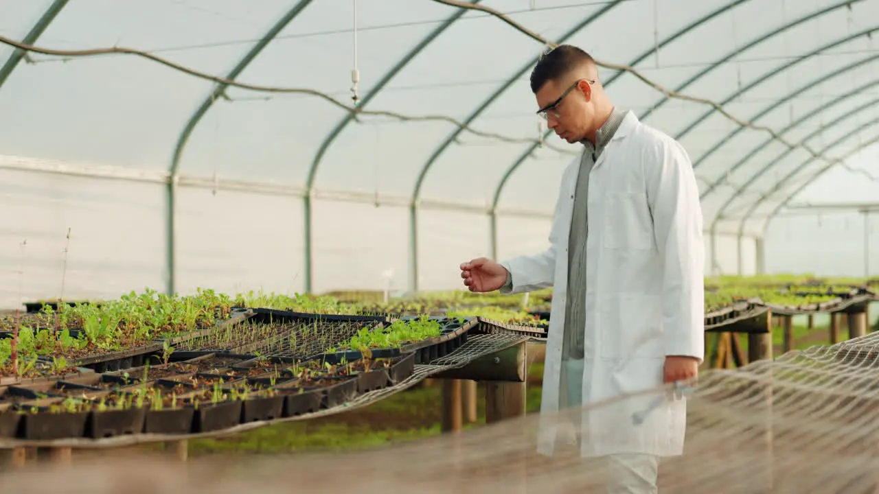 Scientist man and greenhouse plants