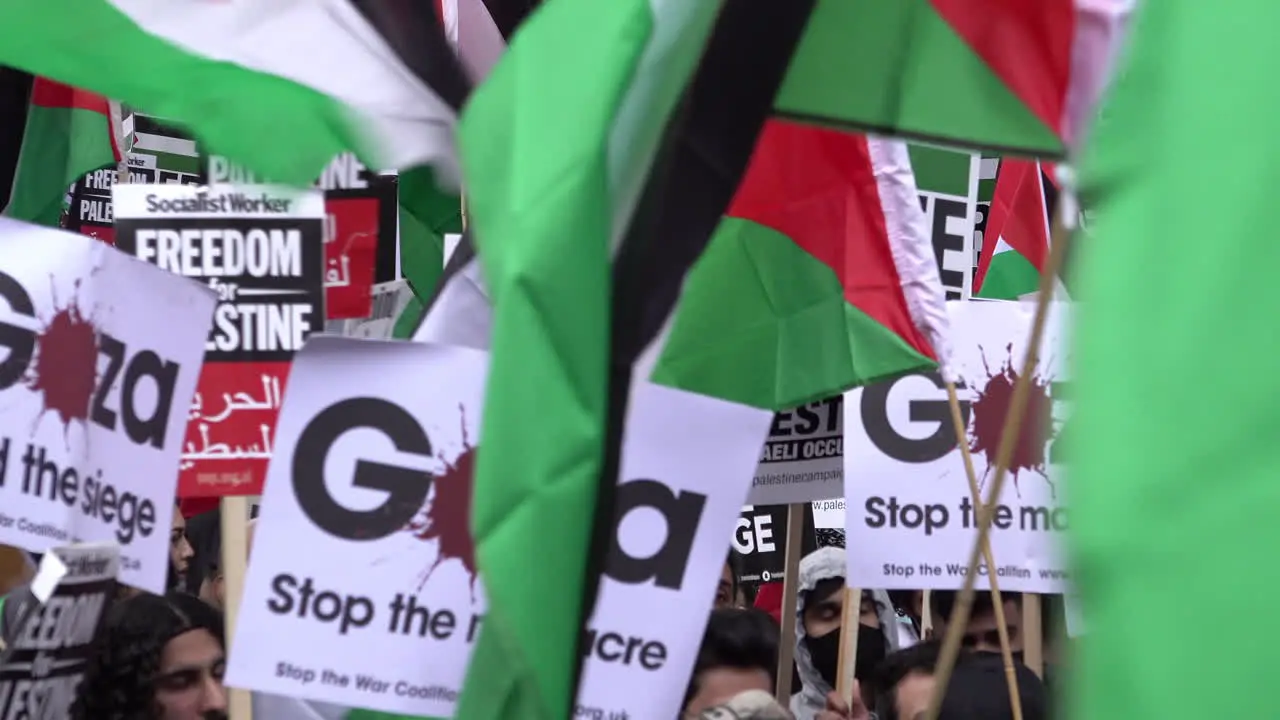 People hold placards and wave flags at a pro-Palestinian protest against Israeli military action on Gaza