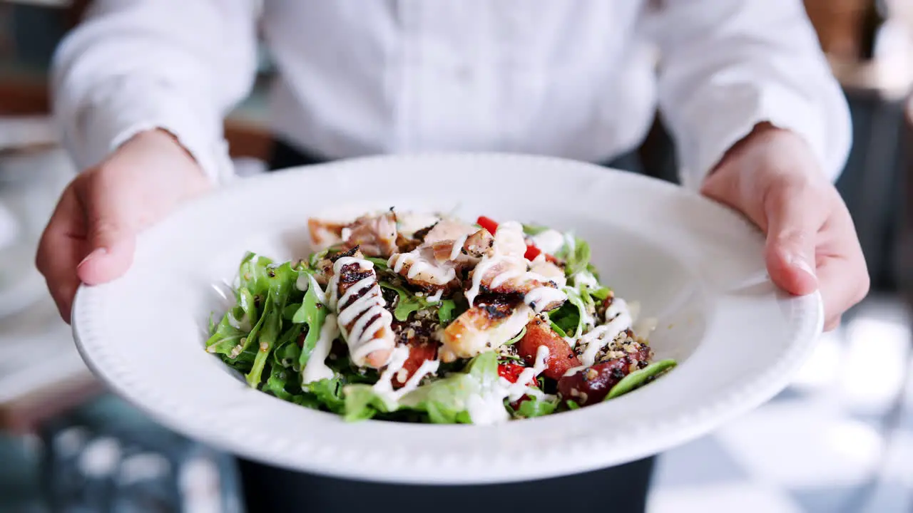 Close Up Of Restaurant Waitress Holding Plate Of Chicken With Salad