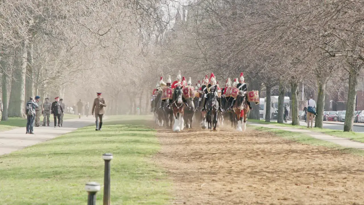 Awe inspiring site of Blues and Royals led bu Shire Drum horses at the Major Generals inspection in London