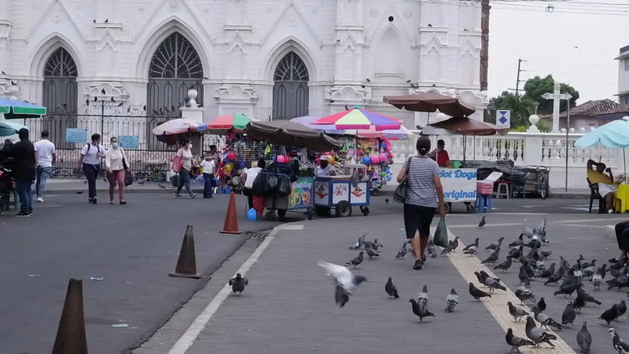 Pigeons flock on street as camera pans across street food kiosks SLV