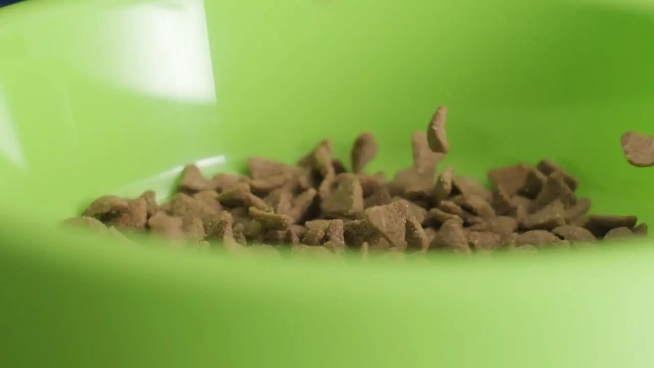 Blurry foreground pet food small pieces falling in a green bowl Slow motion shot