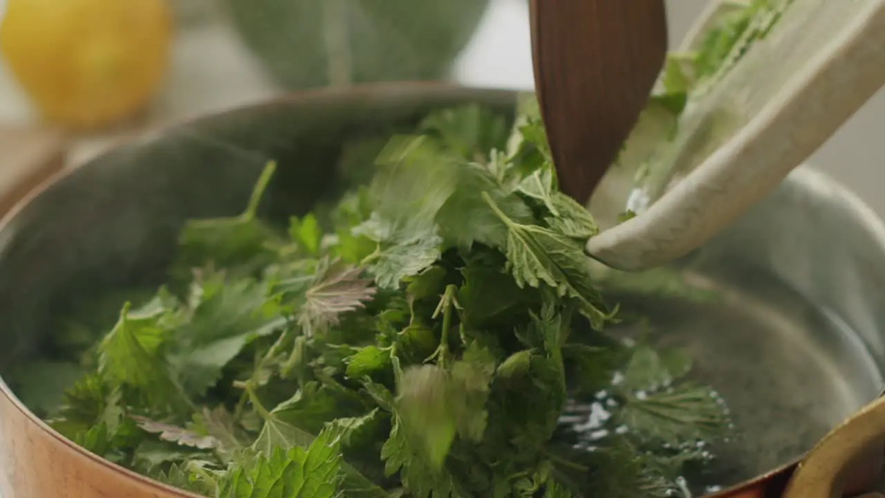 Anonymous person adding herb leaves into boiling water