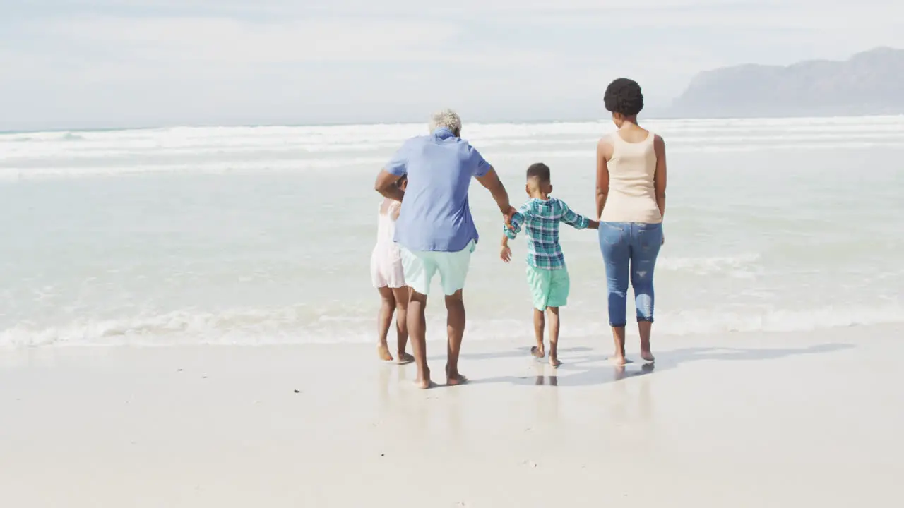 African american couple walking with children on sunny beach