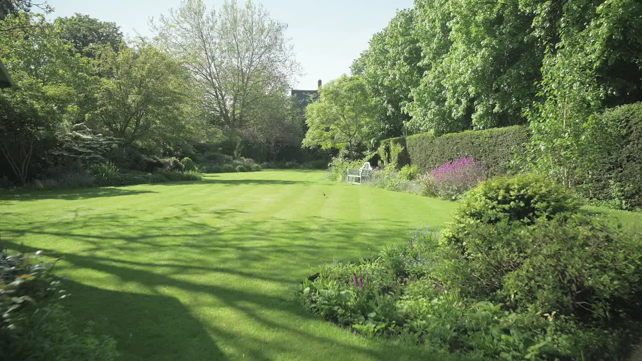 Walking into a secret garden filled with flowers and surrounded by a hedge