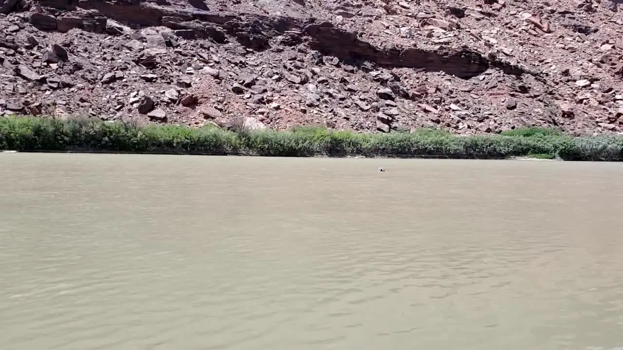 Guy floating in river in Utah