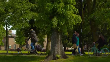 Tracking Shot Following Pedestrians Walking Under Trees In a Public Park 