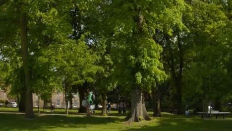 Tracking Shot of Pedestrians Walking Under Trees In a Public Park 