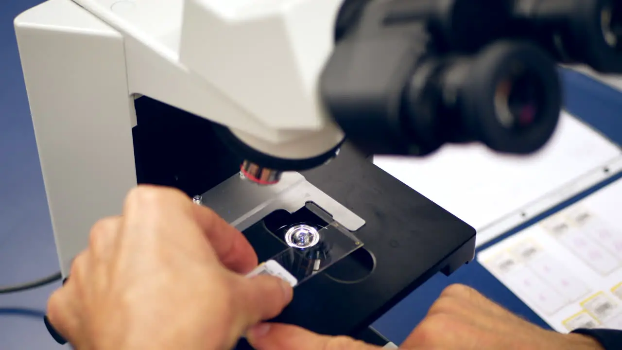 A scientist preparing a slide of cancer cells from a medical biopsy with a microscope in a medical research science lab