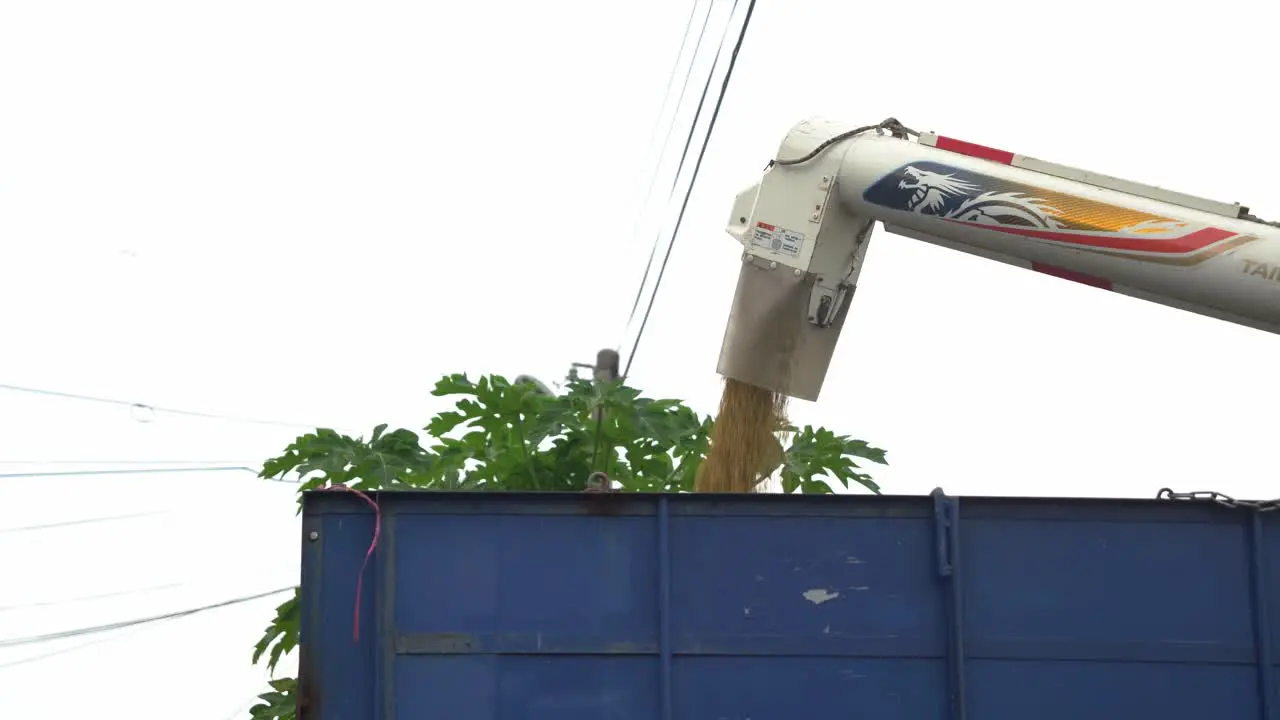 Combine harvester unloading rice crop into the truck ready to be transported to warehouse Douliu city Yunlin county Taiwan