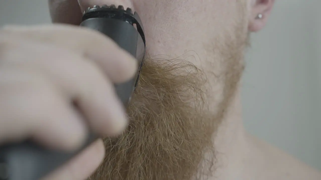 Man with a long beard shaves his mustache with an electric razor