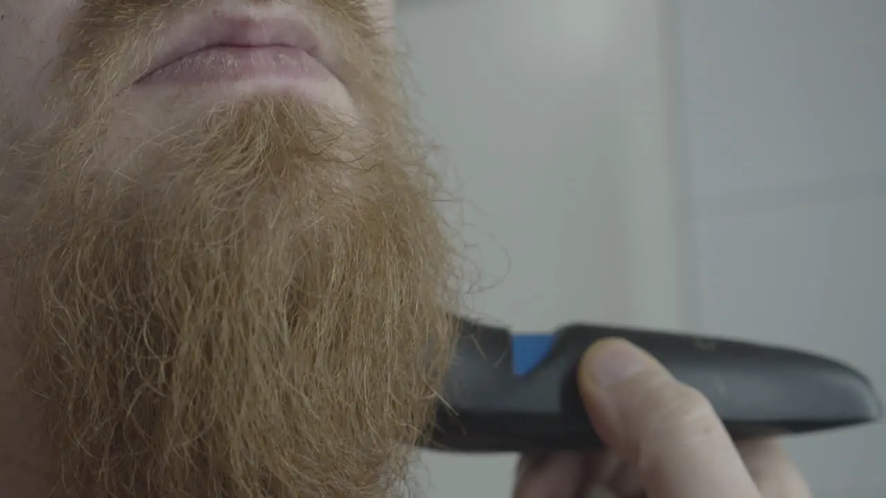 Man shaves his long beard with an electric razor