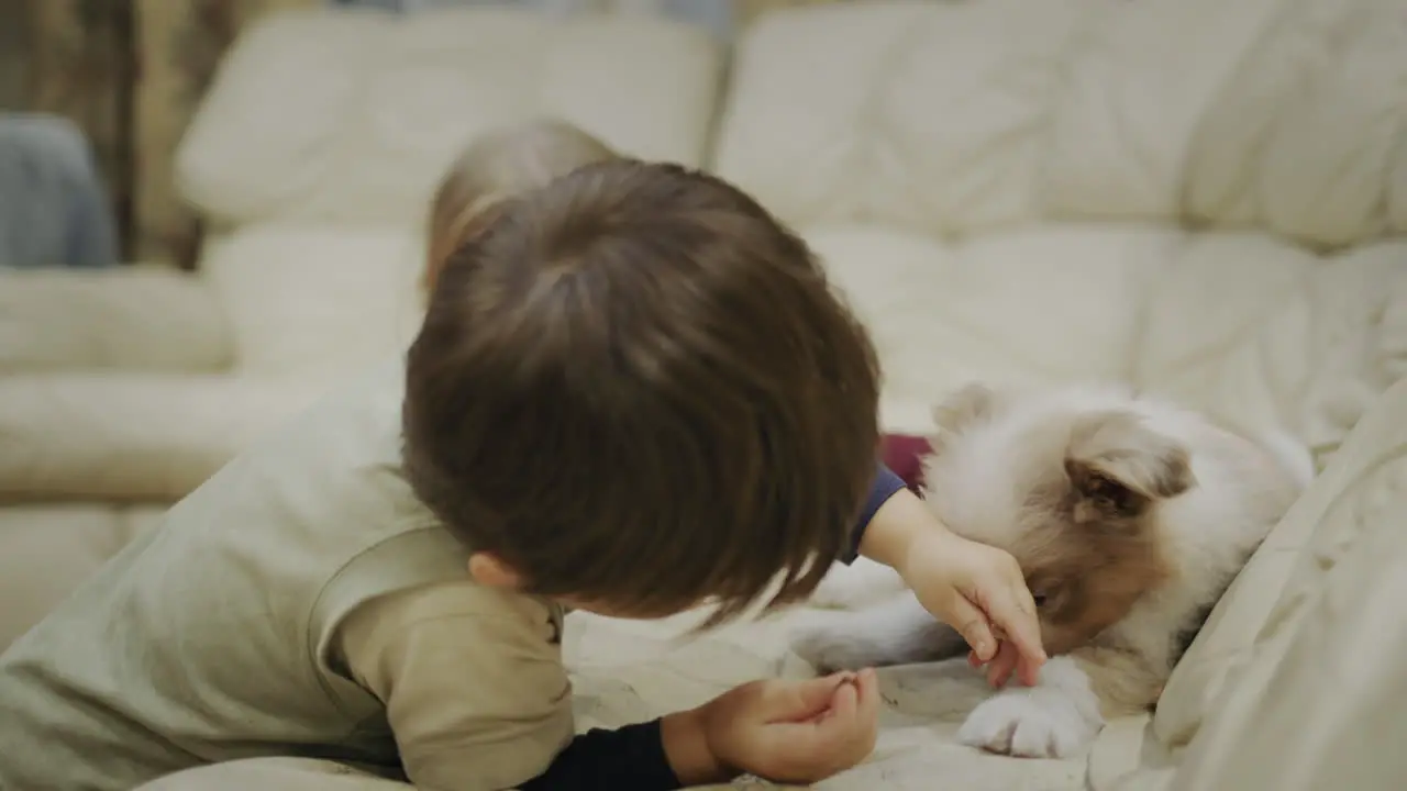 Kids play with cute puppies