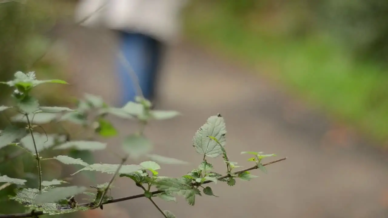 Woman walking pathway in rural countryside