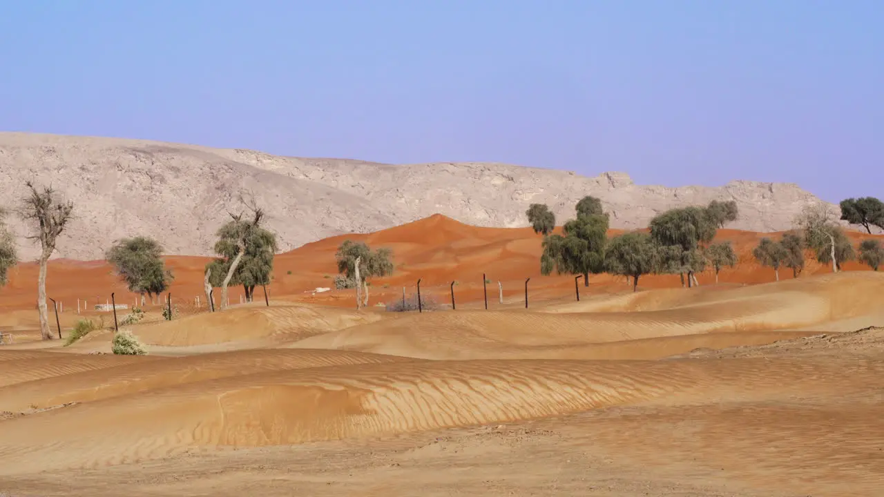 Nature Reserve In The Arabian Desert With Sandstone Mountain In Fossil Rock Sharjah United Arab Emirates