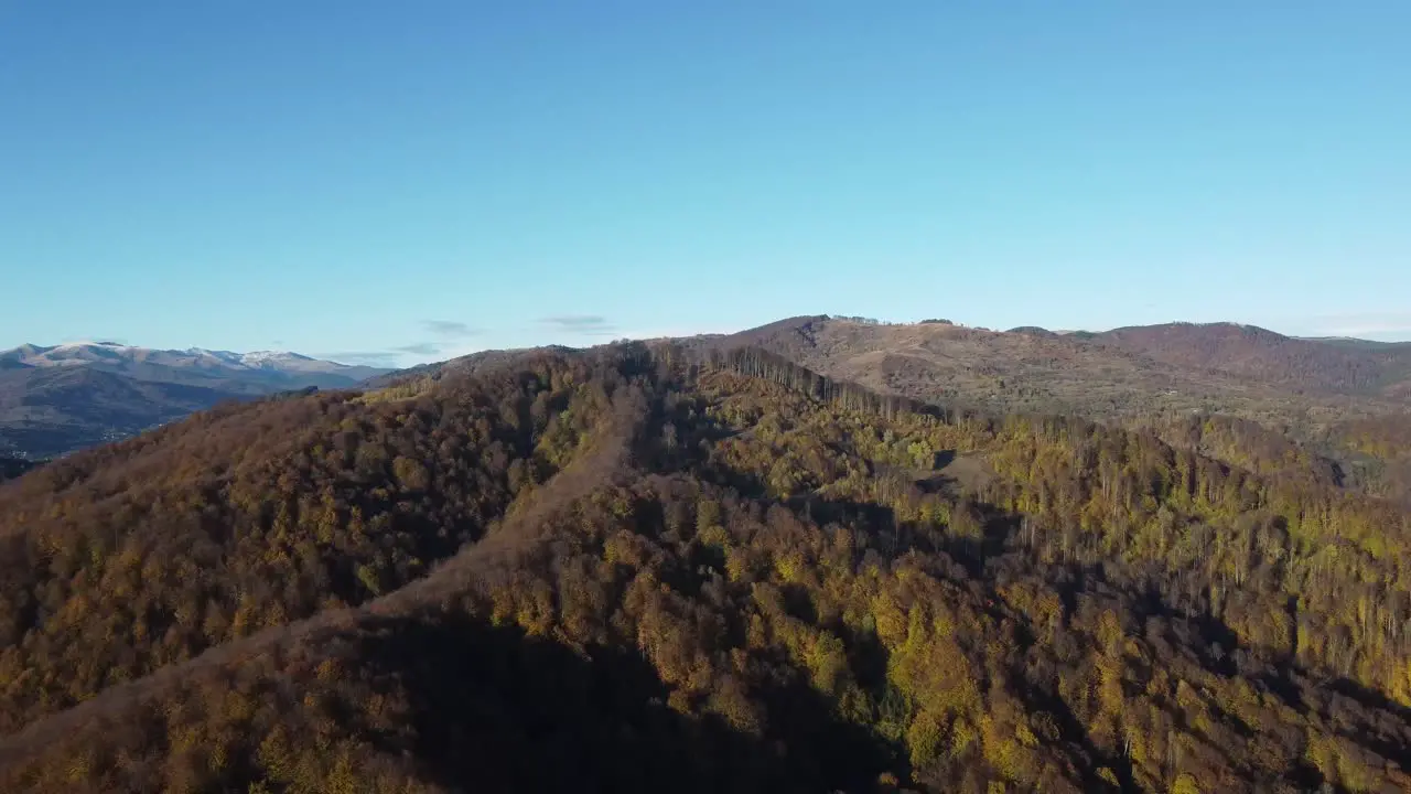 Beautiful aerial drone shot of mountains full of pine and arbutus trees