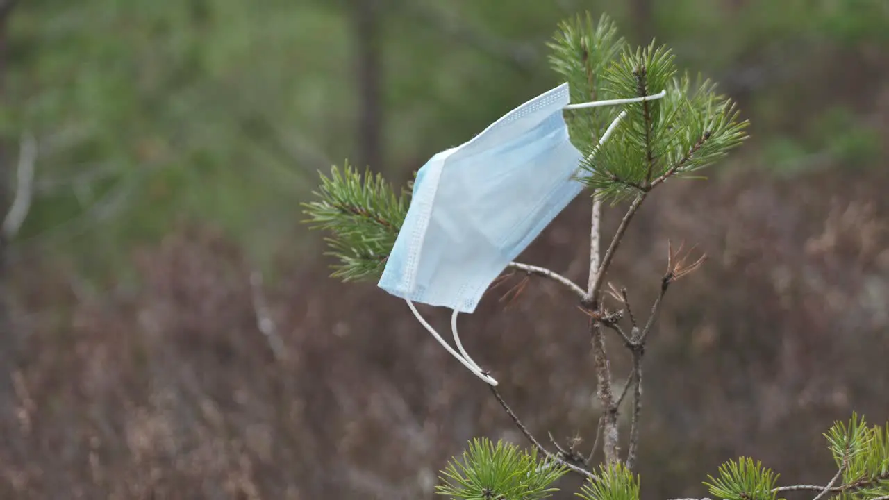 Medical disposable blue protective mask floats in the wind on the pine branches coronavirus Covid-19 virus waste