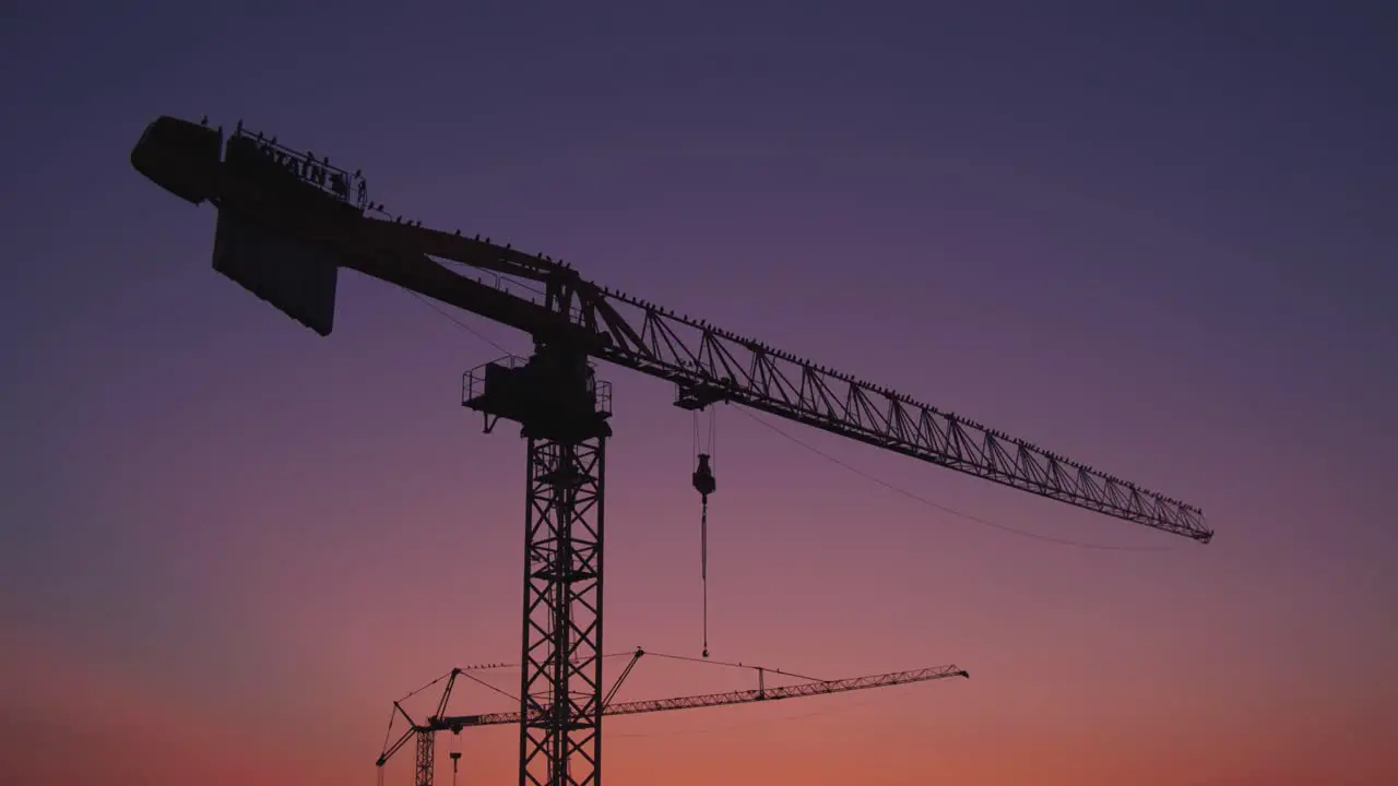 Camera moves down to Construction cranes with birds at sunset