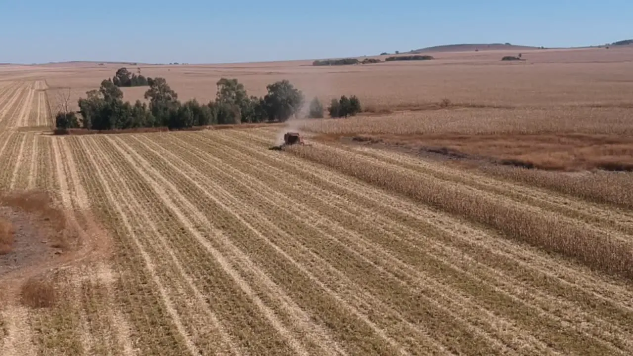 Corn Combine In Farm Fields 4K