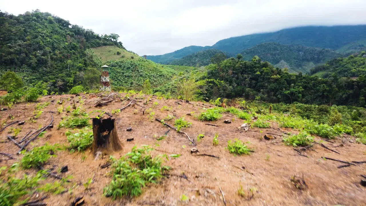 Burnt tropical forest prepared for agriculture farmland climate changeconcept